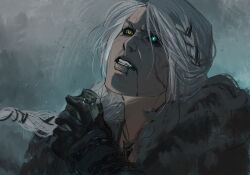ciri from the witcher (series)