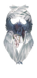 tsukumo yuma from yu-gi-oh!