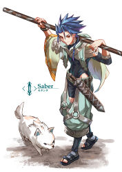 cu chulainn (fate) from fate/grand order
