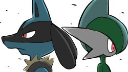 gallade from pokemon