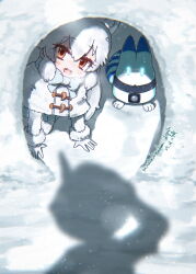 arctic fox (kemono friends) from kemono friends