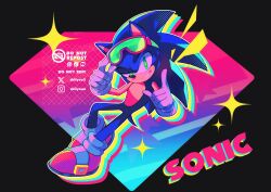 sonic the hedgehog from sonic (series)