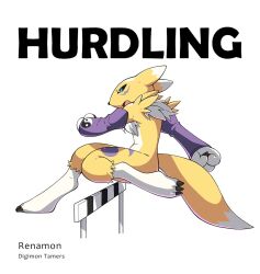 renamon from digimon