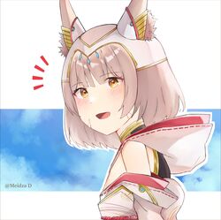 nia (xenoblade) from xenoblade chronicles (series)