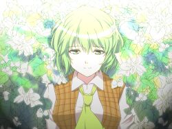 kazami yuuka from touhou by kugi (kugi-xiv)