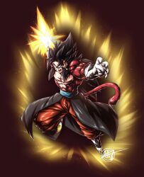 vegetto from dragon ball