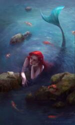 ariel (disney) from the little mermaid