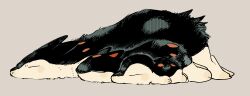 cyndaquil from pokemon by newo (shinra-p)