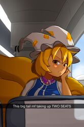 yakumo ran from touhou