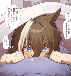 cheval grand (umamusume) from umamusume