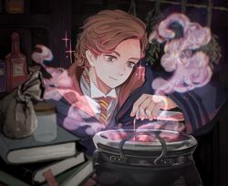harry potter (series) fan art
