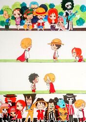 brook (one piece) from one piece