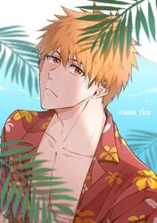 kurosaki ichigo from bleach