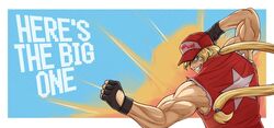 terry bogard from fatal fury