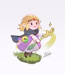 princess zelda from the legend of zelda by vienri