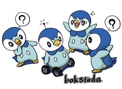 piplup from pokemon