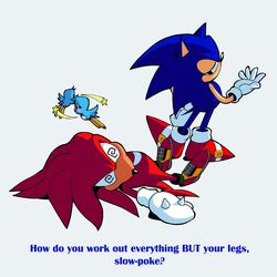 knuckles the echidna from sonic (series)