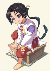 houjou tokiyuki (nige jouzu no wakagimi) from nige jouzu no wakagimi