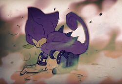 espio the chameleon from sonic (series)