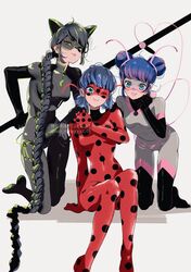 ladybug (character) from miraculous ladybug by seio (nao miragggcc45)