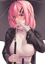 timido cute from honkai (series)