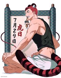 sakuragi hanamichi from slam dunk (series)