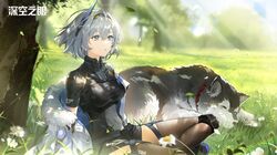 Booru post from safebooru.org