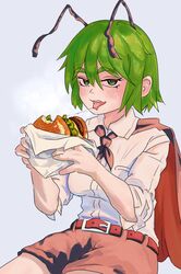 wriggle nightbug from touhou