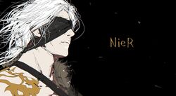 nier fan art