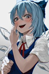cirno from touhou