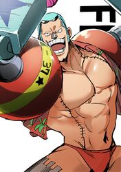 franky (one piece) from one piece