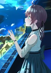 natsuiro matsuri from hololive