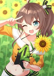 natsuiro matsuri from hololive