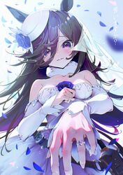 rice shower (umamusume) from umamusume