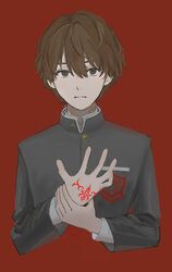 kishinami hakuno (male) from fate/extra
