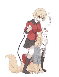 darjeeling (girls und panzer) from girls und panzer by hasekura (hachinochun)
