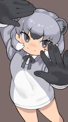 rock hyrax (kemono friends) from kemono friends