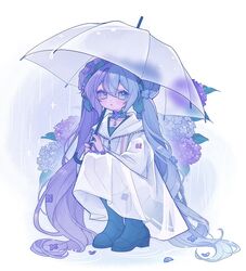 hatsune miku from vocaloid