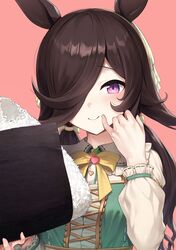 rice shower (umamusume) from umamusume