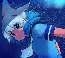 common bottlenose dolphin (kemono friends) from kemono friends