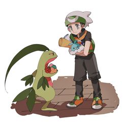 brendan (pokemon) from pokemon