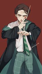 sebastian sallow from harry potter (series)