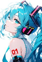 hatsune miku from vocaloid