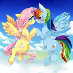 fluttershy from my little pony