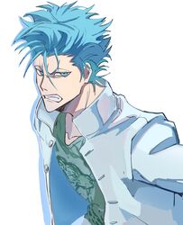 grimmjow jaegerjaquez from bleach