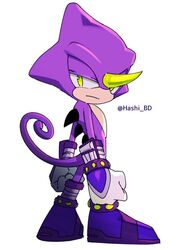 espio the chameleon from sonic (series)