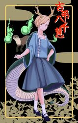 kicchou yachie from touhou