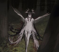 columbina (genshin impact) from genshin impact