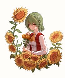kazami yuuka from touhou