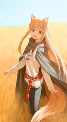 holo from spice and wolf